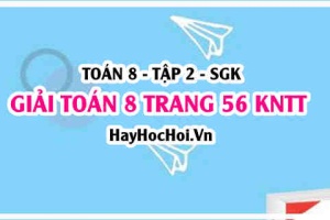 Giải Toán 8 trang 56 tập 2 Kết nối tri thức